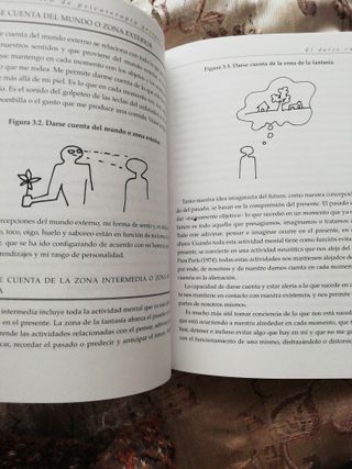 Manual práctico de psicoterapia Gestalt