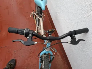 Bicicleta infantil 20 pulgadas.