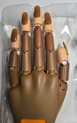 Mano Postiza para Practicar Uñas