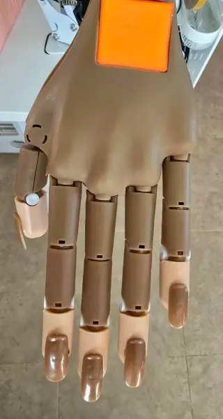 Mano Postiza para Practicar Uñas
