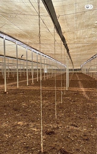 Trabajos con tractor y recogida de residuos