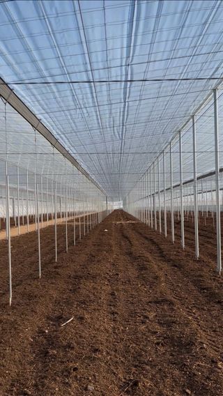 Trabajos con tractor y recogida de residuos