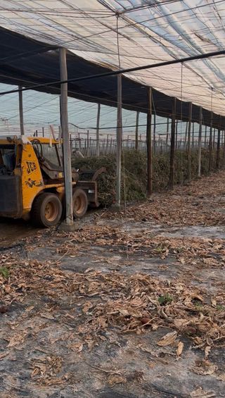 Trabajos con tractor y recogida de residuos