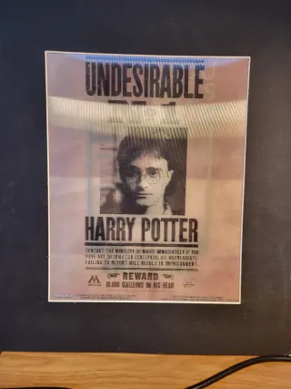 Lámina Harry Potter