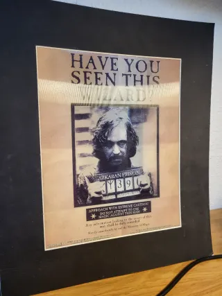 Lámina Harry Potter