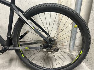 Bicicleta Orbea Radum 29 Talla XL: