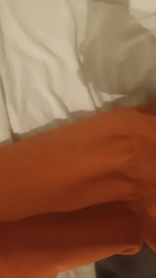 Anorak Salomon Naranja y Gris