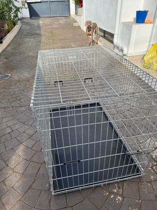 Jaula para perros (1 unidad)