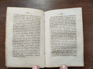 Les secrets de la generation, J Morel de Rubempre