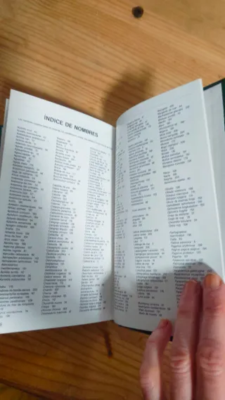 Guía De La Flora Y Fauna Del Mediterráneo