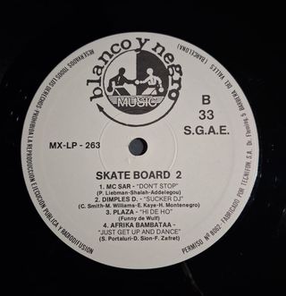 2 Vinilos Skate Board 2 MX-LP-263
