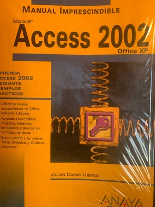 Manual imprescindible de Microsoft Access 2002 ...