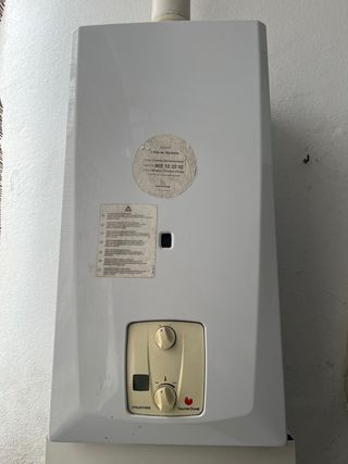 Calentador Saunier Duval Termo Gas Estanco