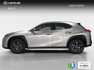 Lexus UX 2.0 250h Business