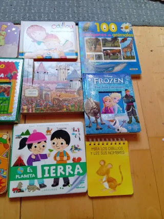 Lote libros cartón duro