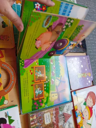 Lote libros cartón duro