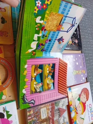 Lote libros cartón duro