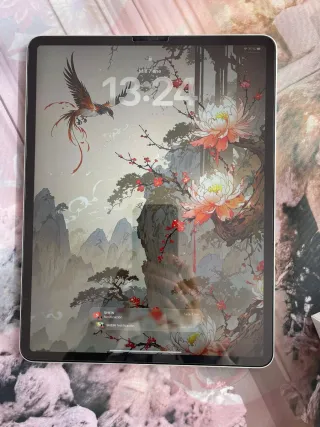 iPad Pro 12.9 4ª Gen Plata