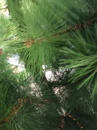 Árbol de Navidad verde mide ..alto 1.75 ancho 90.