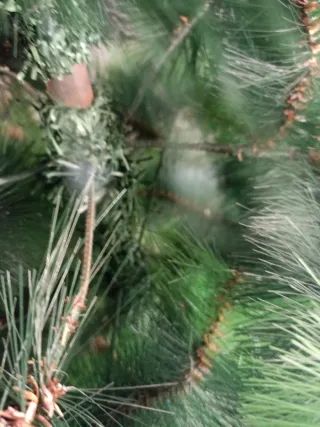 Árbol de Navidad verde mide ..alto 1.75 ancho 90.