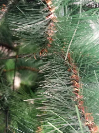 Árbol de Navidad verde mide ..alto 1.75 ancho 90.