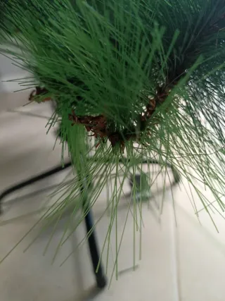 Árbol de Navidad verde mide ..alto 1.75 ancho 90.