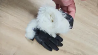 Guantes de piel mujer negros/marrones