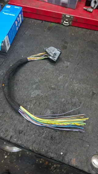 Conector ficha Centralita MS43 M54