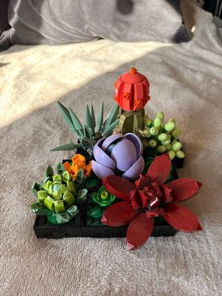 Set Lego Piante Grasse e Fiori Decorativi