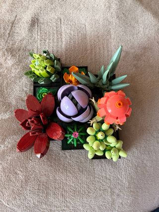 Set Lego Piante Grasse e Fiori Decorativi