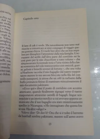 Sale e zafferano di Kamila Shamsie romanzo