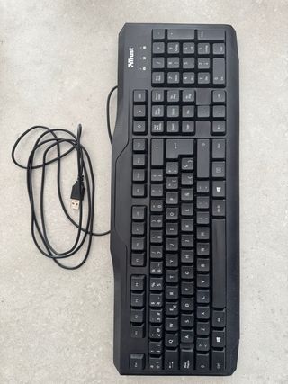 Teclado Trust Negro USB