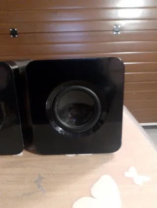 Par de Altavoces para reproductor de musica