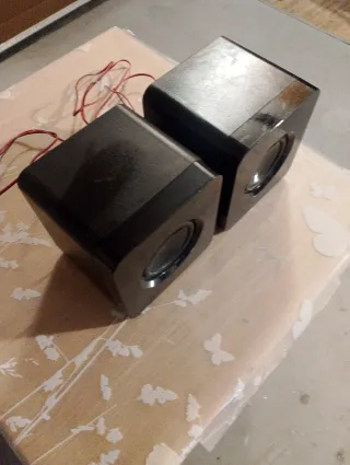 Par de Altavoces para reproductor de musica