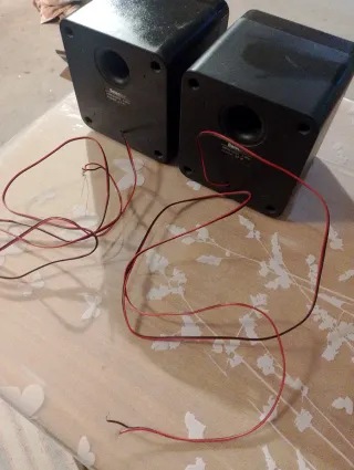 Par de Altavoces para reproductor de musica