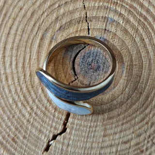 Anillo Acero Inoxidable Abierto Lacado