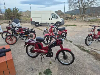 Vespinos t max 500. gl.sc mobyllete Renault laguna