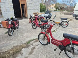 Vespinos t max 500. gl.sc mobyllete Renault laguna