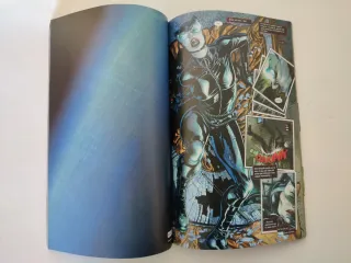 Catwoman núm. 01 (Catwoman (Nuevo Universo DC))...