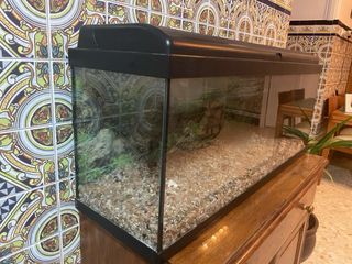 Acuario completo