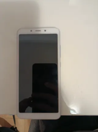 Lote de teléfonos (Xiaomi y LG)