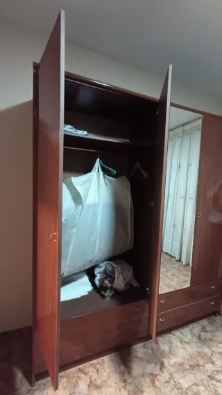 Armario vintage madera y cristal