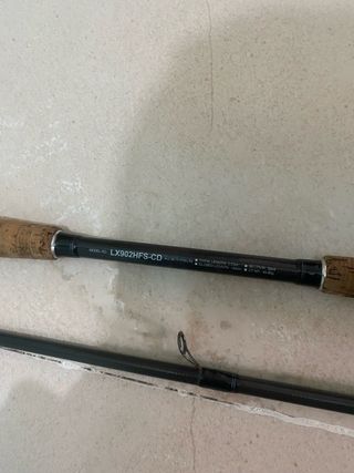 Caña de pescar Daiwa Lexa 902