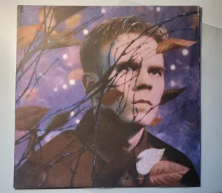 Vinilo Wild de Erasure