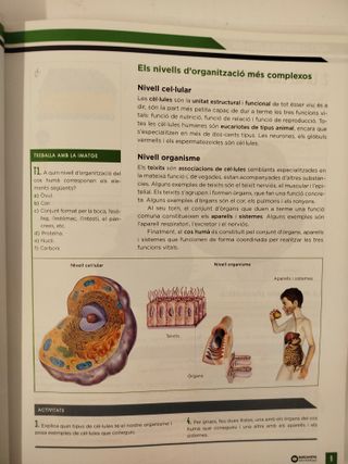 Biologia i Geologia 3r ESO (Elizabeth Blackwell)