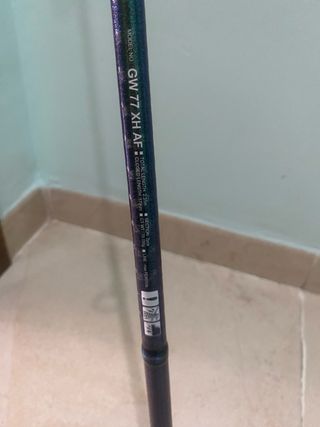 Caña de pescar Daiwa GW 77