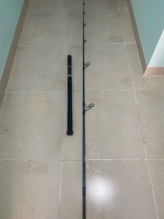 Caña de pescar Daiwa GW 77