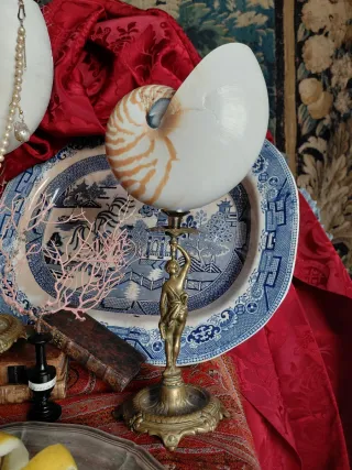 Caracolas Nautilus con Peanas Bronce