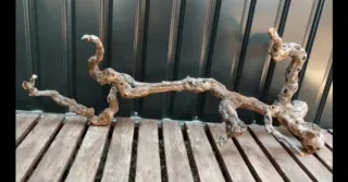 Raíz/tronco Decoración acuario OFERTA SOLO HOY!