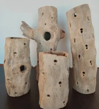 Raíz/tronco/madera Cholla Decoración acuario/hogar